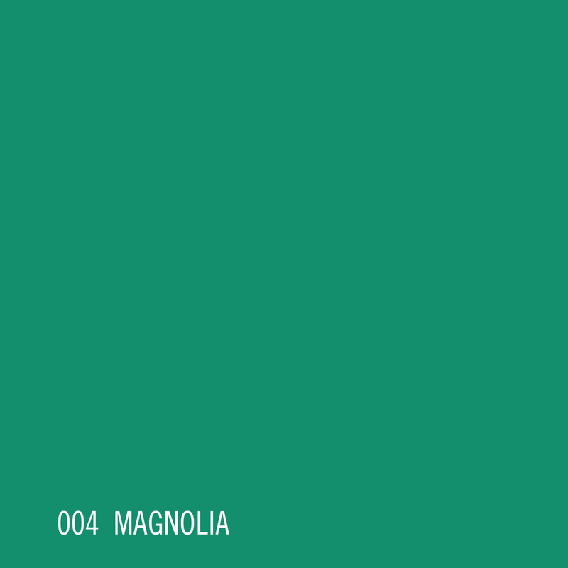 BULBO MAGNOLIA